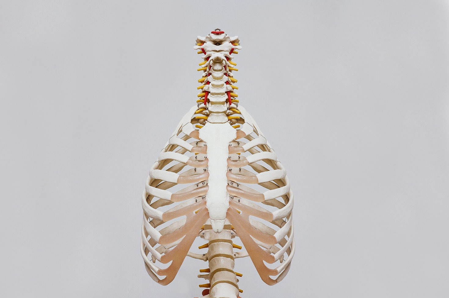 The Importance of Continued Learning in Radiology